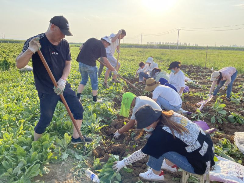 2021年暴雨災情後重建